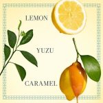 Fresh Sugar Lemon EDP - Image 5